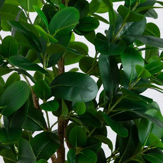 7ft. Artificial Audrey Ficus Tree